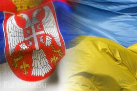 В Сербии расследуют реэкспорт украинской продукции в Россию