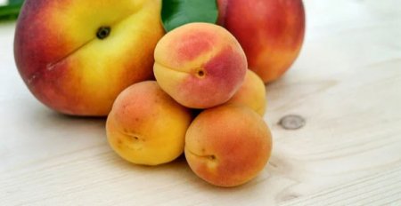 Что мы знаем о персиках