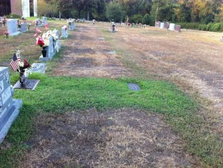 Мать не могла понять, почему трава на могиле ее сына стала зеленой. Потом она узнала причину