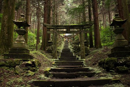 Буддийский лес – самый таинственный парк Японии