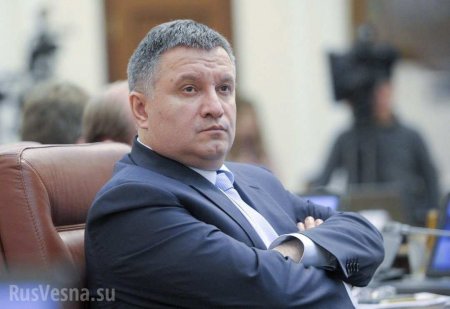 Поздравляю, Шарик, ты балбес: Аваков эпично прокололся на незнании закона о Донбассе