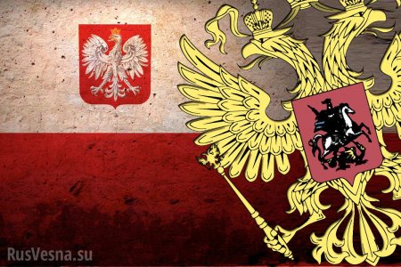 В России жёстко ответили на обвинения Польши в искажении истории
