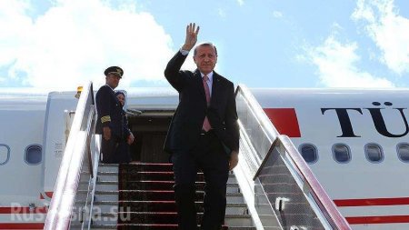 Турецкий султан едет к «запорожцам»: завтра Эрдоган посетит Зеленского