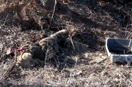 Кровавый провал ВСУ: Армия ЛНР показала трофеи и эвакуацию трупа гранатомётчика (ФОТО, ВИДЕО 18+)