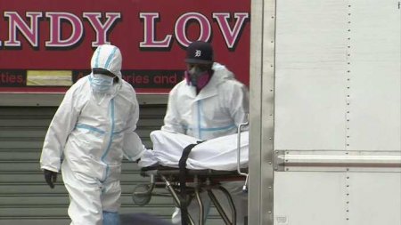 Десятки гниющих трупов нашли в грузовиках у похоронного бюро Нью-Йорка (ФОТО, ВИДЕО)