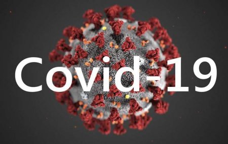Новый антирекорд по числу смертей за сутки: коронавирус в России